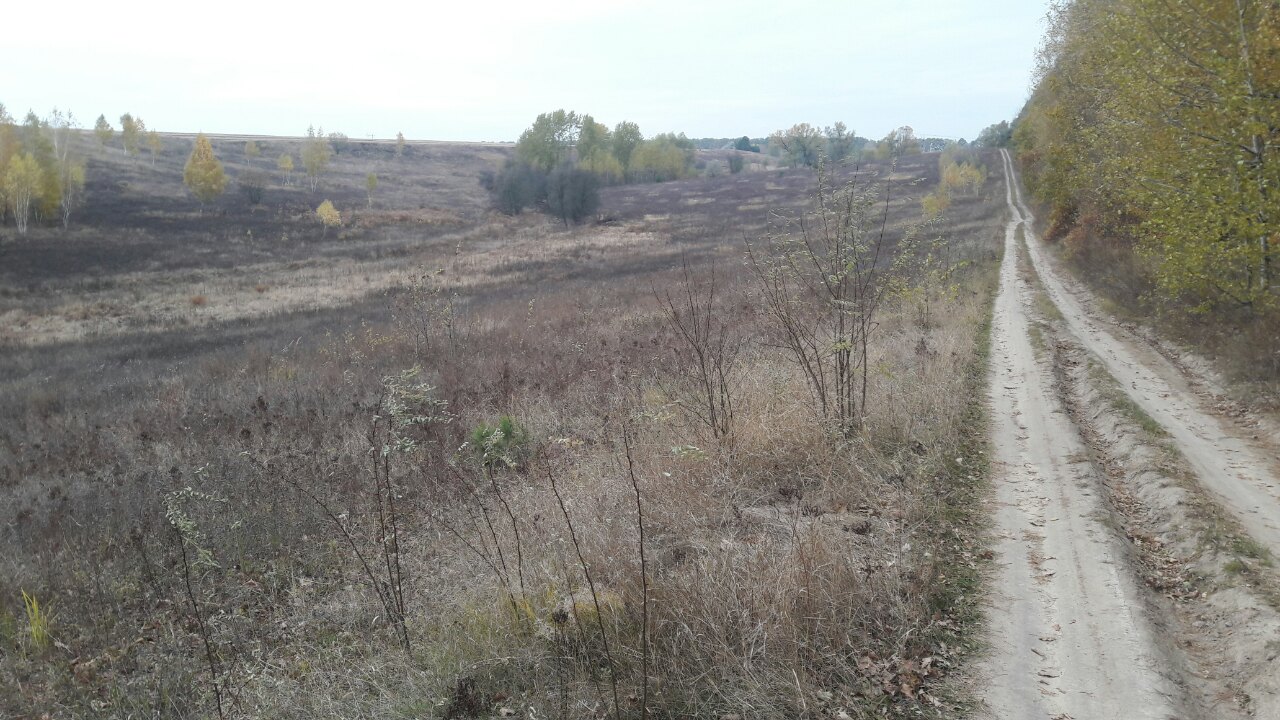 Земельна ділянка 3221482801:01:010:0030 для будівництва і обслуговування житлового будинку, господарських будівель і споруд (присадибна ділянка) площею 0,1855 га за адресою: Київська обл., Васильківський р., с.Застугна, вул.Л. Українки.