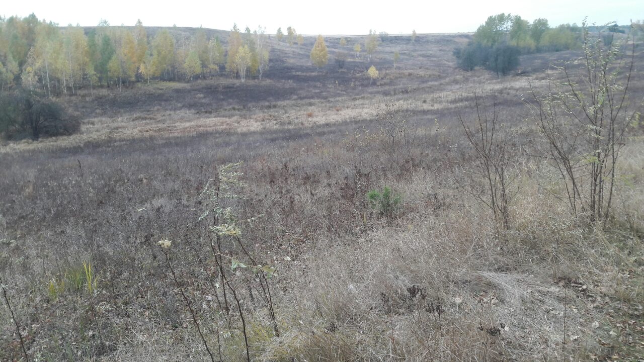 Земельна ділянка 3221482801:01:010:0030 для будівництва і обслуговування житлового будинку, господарських будівель і споруд (присадибна ділянка) площею 0,1855 га за адресою: Київська обл., Васильківський р., с.Застугна, вул.Л. Українки.